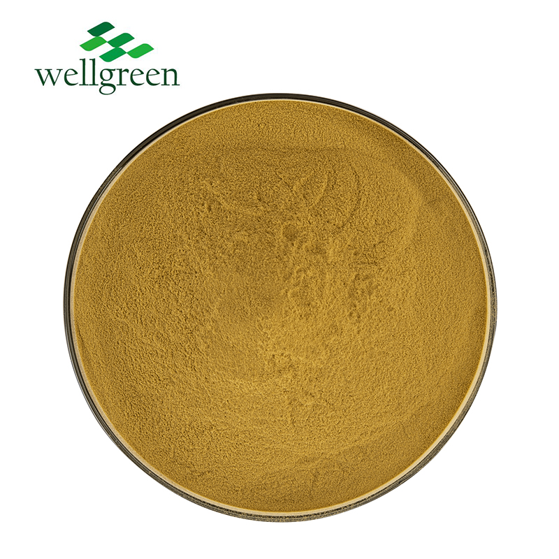 Olive Leaf Extract Oleuropein & Hydroxytyrosol  