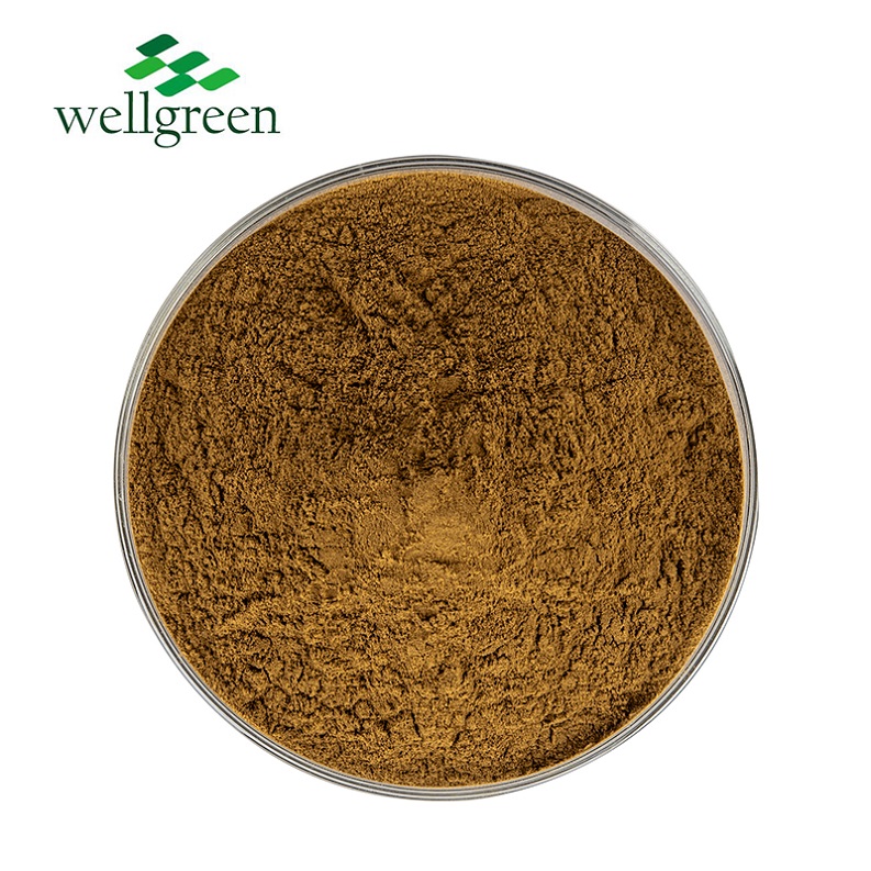(Wild) Chaga Extract Polysaccharide  