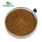 (Wild) Chaga Extract Polysaccharide