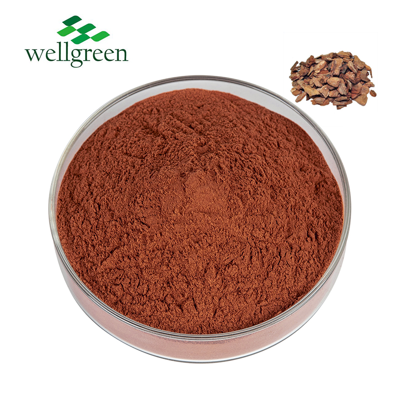 Pin Bark Extract OPC 95% 98%