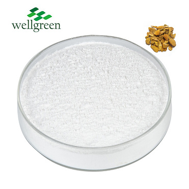 Polygonum Cuspidatum Extract Resveratrol