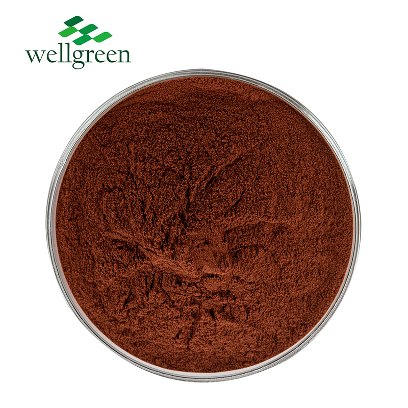 Grape Seed Extract OPC95%  