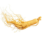 Ginseng Extract Ginsenoside