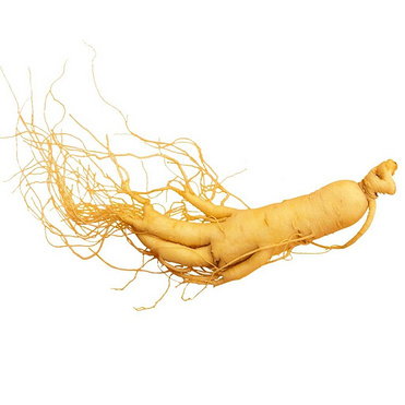 Ginseng Extract Ginsenoside