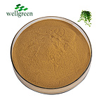 Ivy Stem Extract Hederagenin Hederacosides