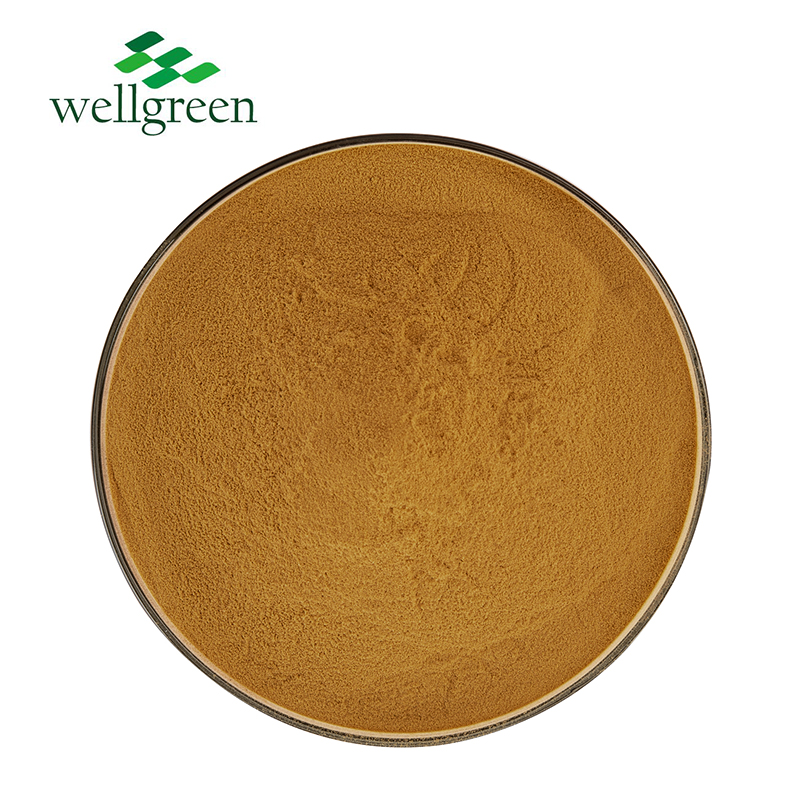 Bamboo Leaf Extract Flavones  
