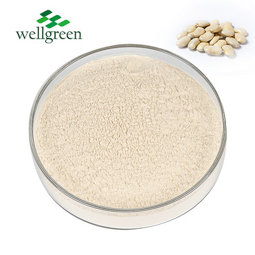 White Kidney Bean Extract Phaseolin