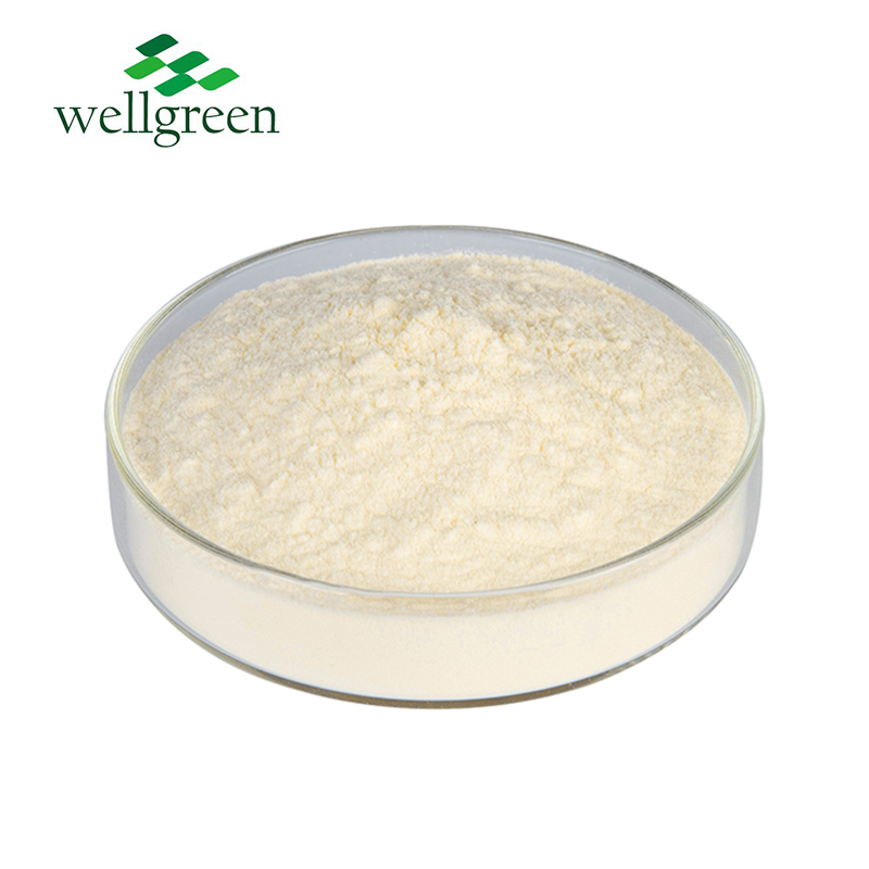Lichen Extract Usnic acid Usninic acid Usnein  