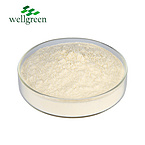 Lichen Extract Usnic acid Usninic acid Usnein