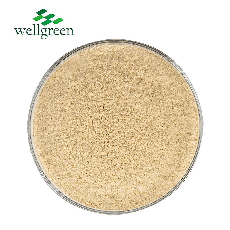 Ginseng Extract Ginsenoside  