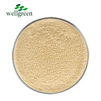 Ginseng Extract Ginsenoside