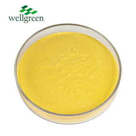 Pharmaceutical Grade 99% Pure CAS No 302-79-4 Retinoic Acid Powder/Vitamin a Acid Tretinoin