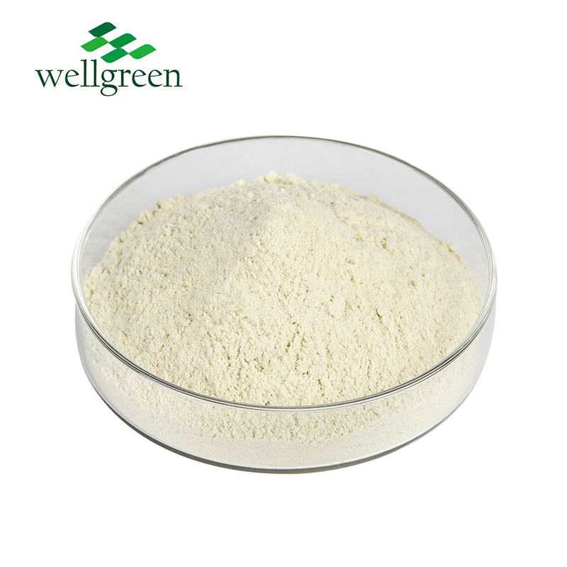 High Quality Purity Good Properties Whey Protein Powder Raw Materials