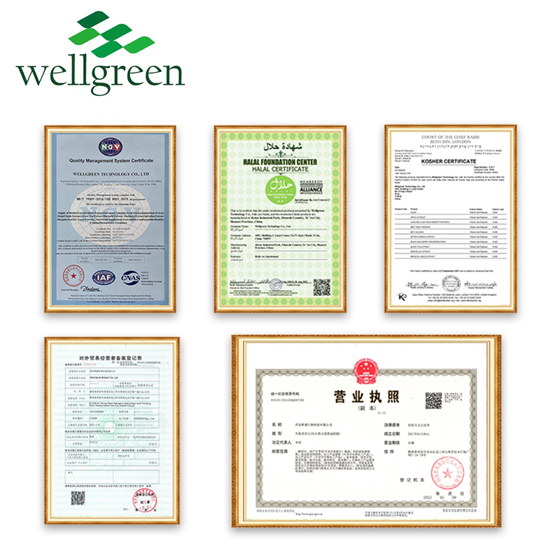 Wellgreen Source Fruit Factory Best Quality Acai Berry Extract Powder Acai Berry Powder  