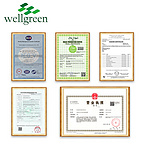 Wellgreen Source Fruit Factory Best Quality Acai Berry Extract Powder Acai Berry Powder