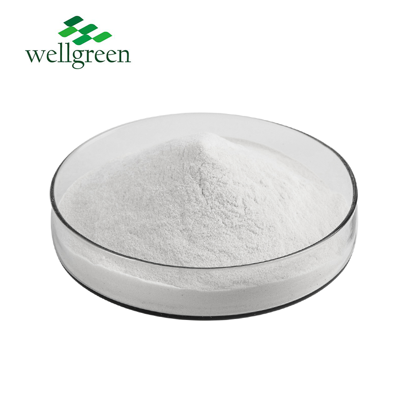 Organic Chicory Fos Root Extract 9005-80-5 Synanthrin Inuline Halal Powder CAS 9005-80-05 Bulk Inuli  