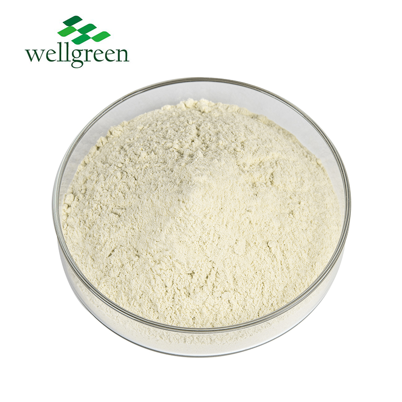 High Quality Purity Good Properties Whey Protein Powder Raw Materials  
