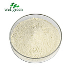 High Quality Purity Good Properties Whey Protein Powder Raw Materials