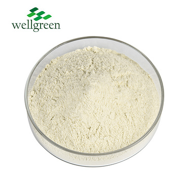 High Quality Purity Good Properties Whey Protein Powder Raw Materials