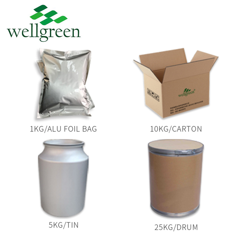 Wellgreen Source Fruit Factory Best Quality Acai Berry Extract Powder Acai Berry Powder  