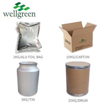 Wellgreen Source Fruit Factory Best Quality Acai Berry Extract Powder Acai Berry Powder