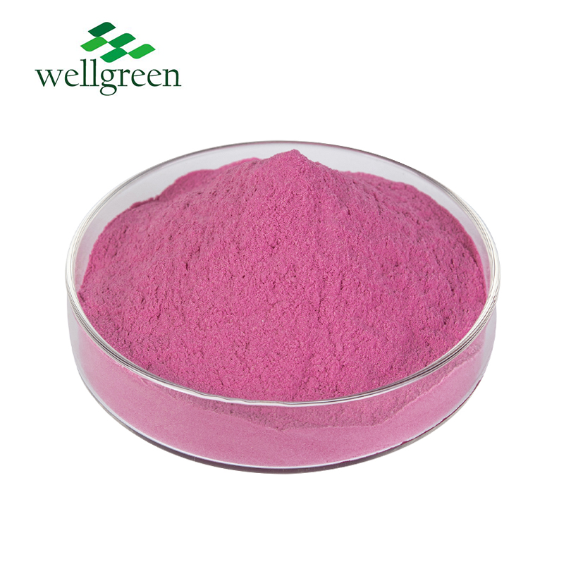 100% Natural Organic Freeze Dried Red Pitaya Dragon Fruit Powder  