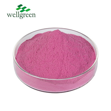 100% Natural Organic Freeze Dried Red Pitaya Dragon Fruit Powder