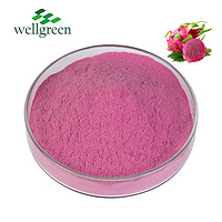 100% Natural Organic Freeze Dried Red Pitaya Dragon Fruit Powder