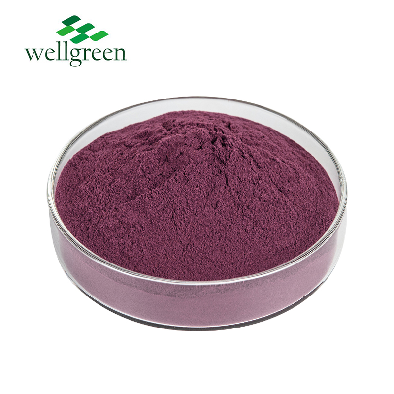 Wellgreen Source Fruit Factory Best Quality Acai Berry Extract Powder Acai Berry Powder  