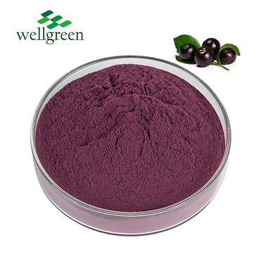 Wellgreen Source Fruit Factory Best Quality Acai Berry Extract Powder Acai Berry Powder