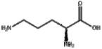 L-Ornithine