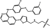 Lapatinib