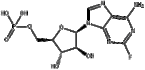 Fludarabine phosphate