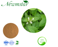 Factory Supply Lemon Balm Extract Melissa Extract Plant Extract with Best price&certificates
