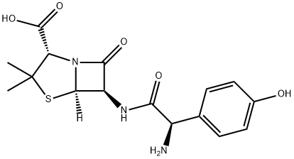 Amoxicillin