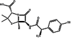 Amoxicillin