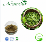 Factory Supply 20%,40% L-Theanine Powder Camellia Sinensis/ Green Tea Extract with Low Price