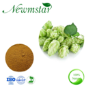 Wholesale Natural Plant Extract Hops Extract