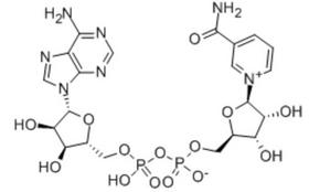 NAD+