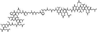 C-peptide