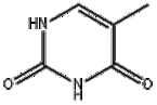 Thymine