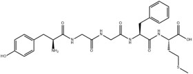 Met5-Enkephalin