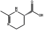 Ectoine