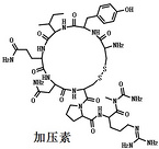 Vasopressin