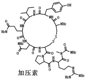 Vasopressin