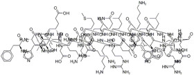 Teriparatide (pTH(1-34)