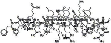 Teriparatide (pTH(1-34)