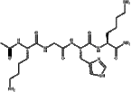 Acetyl Tetrapeptide-3