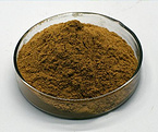 Portulaca Oleracea Extract