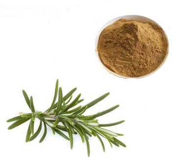 Rosmarinus Officinalis Leaf Extract